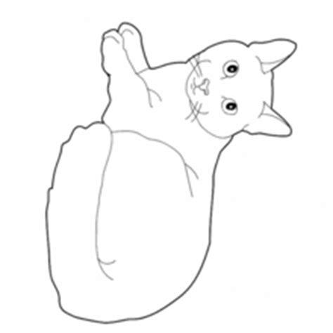 Cómo Dibujar Una Cria De Gato Paso a Paso Fácil