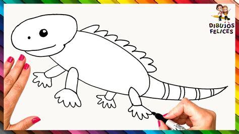Cómo dibujar Una Iguana Para Niños 】 Paso a Paso Muy Fácil 2023 - Dibuja  Fácil