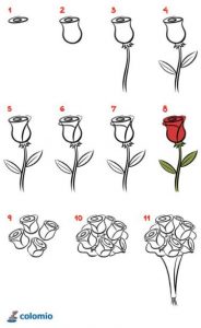 Cómo Dibuja Una Rosa Desde Arriba Fácil Paso a Paso