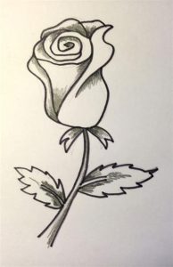 Dibujar Una Rosa Y Bonita Fácil Paso a Paso