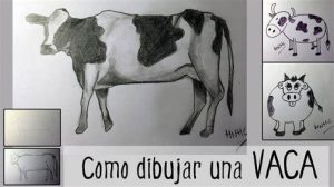 Cómo Dibujar Una Vaca Real Fácil Paso a Paso