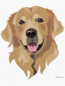 Dibujar A Un Perro Golden Retriever Fácil Paso a Paso