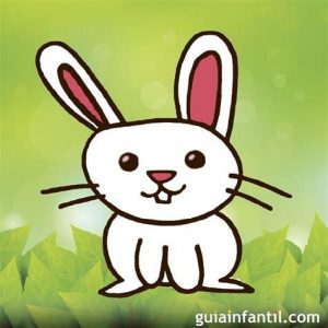 Cómo Dibujar Conejo Para Niños Paso a Paso Fácil
