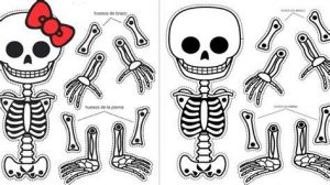 Cómo Dibujar Esqueletoses Para Niños Fácil Paso a Paso