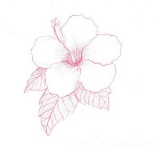 Cómo Dibuja Flores Hawaianas Fácil Paso a Paso