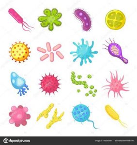 Dibujar Hongos Y Bacterias Fácil Paso a Paso