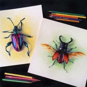 Cómo Dibujar Insectos Realistas Fácil Paso a Paso