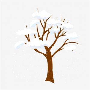 Cómo Dibuja Un Arbol Con Nieve Fácil Paso a Paso