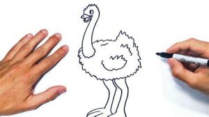Cómo Dibujar Un Avestruz Para Niños Fácil Paso a Paso