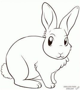 Cómo Dibuja Un Conejo Dificil Paso a Paso Fácil