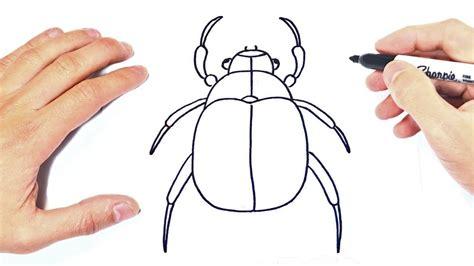 Dibuja Un Escarabajo Pelotero Paso a Paso Fácil