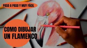 Dibuja Un Flamenco Realista Fácil Paso a Paso