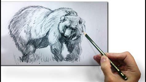 Dibujar Un Oso Realista Paso a Paso Fácil