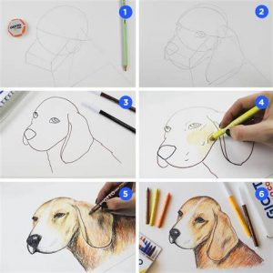 Dibuja Un Perro Difícil Fácil Paso a Paso