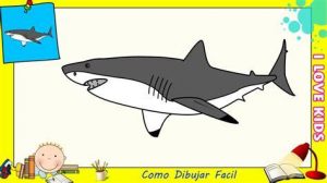 Dibujar Un Tiburon Animado Fácil Paso a Paso