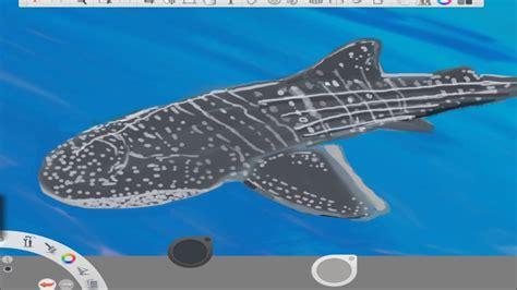 Cómo Dibuja Un Tiburon Ballena Paso a Paso Fácil