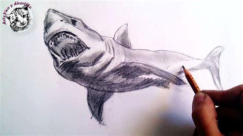 Dibujar Un Tiburon Realista Fácil Paso a Paso