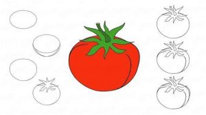Dibujar Un Tomate Fácil Paso a Paso