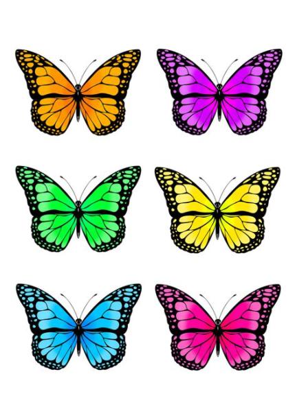 Cómo dibujar Una Mariposa En La Pared 】 Paso a Paso Muy Fácil 2023 - Dibuja  Fácil