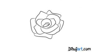 Dibujar Una Rosa Pequeña Fácil Paso a Paso