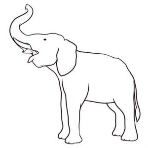 Dibujar Una Trompa De Elefante Fácil Paso a Paso