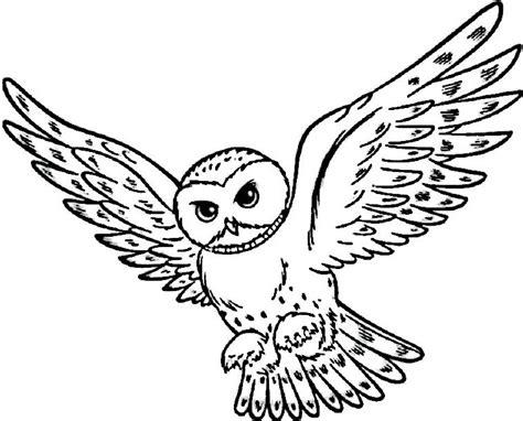 Dibujar A Hedwig Fácil Paso a Paso