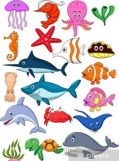 Cómo dibujar Animales Del Mar 】 Paso a Paso Muy Fácil 2023 - Dibuja Fácil