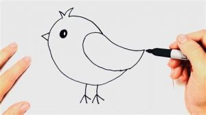 Cómo Dibujar Aves Fácil Paso a Paso
