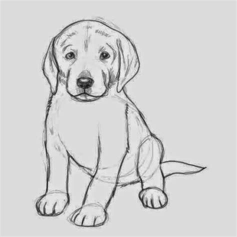 Cómo dibujar Cachorros De Perros 】 Paso a Paso Muy Fácil 2023 - Dibuja Fácil