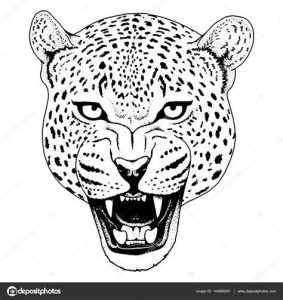 Dibuja La Cara De Un Leopardo Fácil Paso a Paso