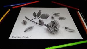 Dibuja Rosas En 3D Paso a Paso Fácil