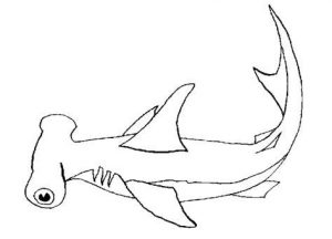 Cómo Dibujar Tiburon Martillo Fácil Paso a Paso