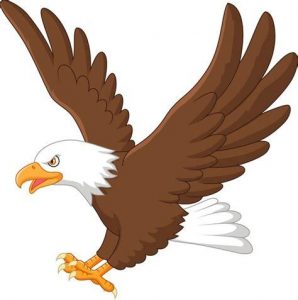 Dibujar Un Aguila Volando Fácil Paso a Paso