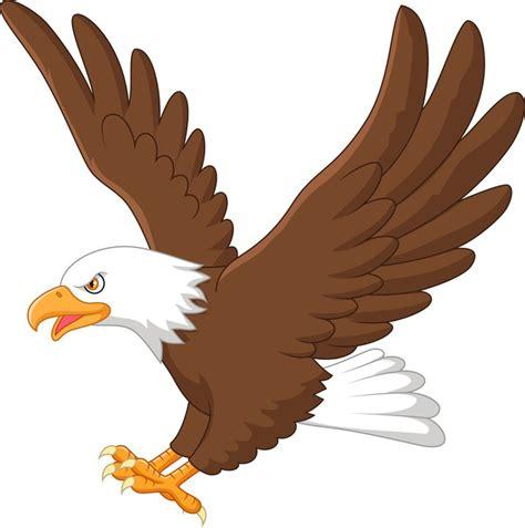 Cómo dibujar Un Aguila Volando 】 Paso a Paso Muy Fácil 2023 - Dibuja Fácil