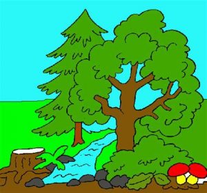 Cómo Dibuja Un Bosque Para Niños Paso a Paso Fácil