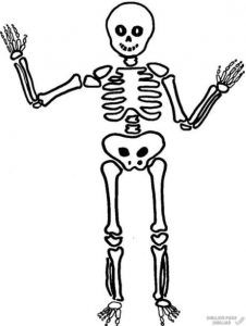 Dibujar Un Esqueleto De Halloween Paso a Paso Fácil