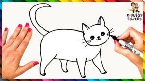 Cómo Dibuja Un Gato Pasos Paso a Paso Fácil