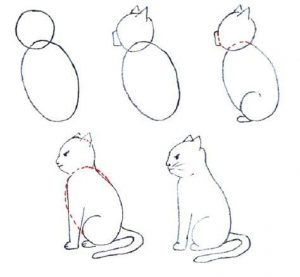 Cómo Dibuja Un Gato Simple Fácil Paso a Paso