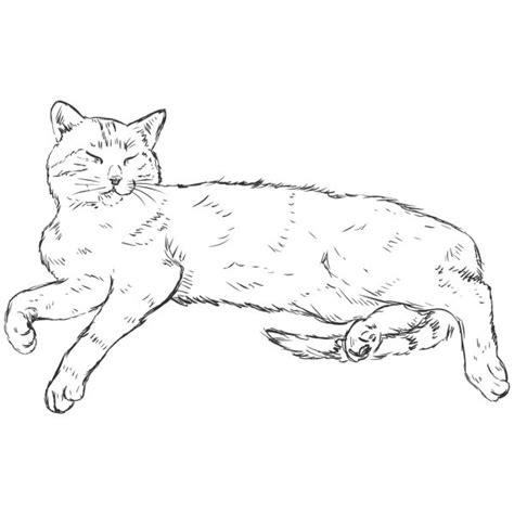 Cómo Dibujar Un Gato Tumbado Paso a Paso Fácil