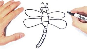 Dibujar Un Insecto Fácil Paso a Paso