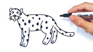 Cómo Dibujar Un Leopardo Para Niños Fácil Paso a Paso