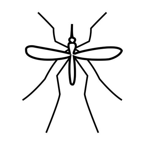 Dibujar Un Mosquito Fácil Paso a Paso