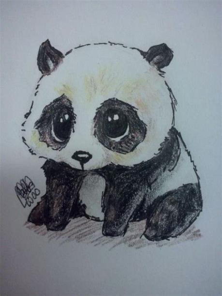 Cómo dibujar Un Oso Panda Realista 】 Paso a Paso Muy Fácil 2023 - Dibuja  Fácil