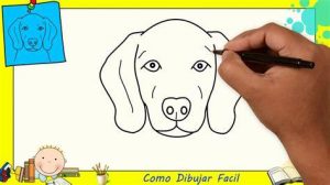 Dibujar Un Perro Para Principiantes Fácil Paso a Paso