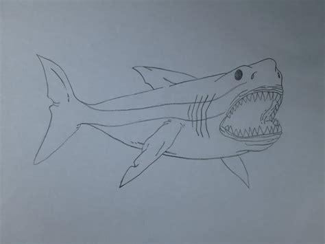 Cómo dibujar Un Tiburon Megalodon 】 Paso a Paso Muy Fácil 2023 - Dibuja  Fácil