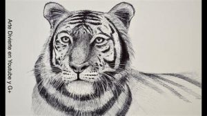 Cómo Dibuja Un Tigre Dificil Paso a Paso Fácil
