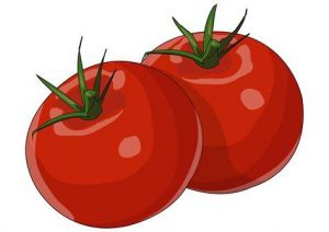 Dibujar Un Tomate Canario Fácil Paso a Paso