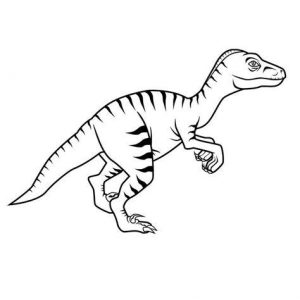 Dibujar Un Velociraptor Para Niños Fácil Paso a Paso