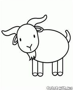 Cómo Dibujar Una Cabra Para Niños Paso a Paso Fácil