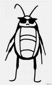 Cómo Dibuja Una Cucaracha Fácil Paso a Paso